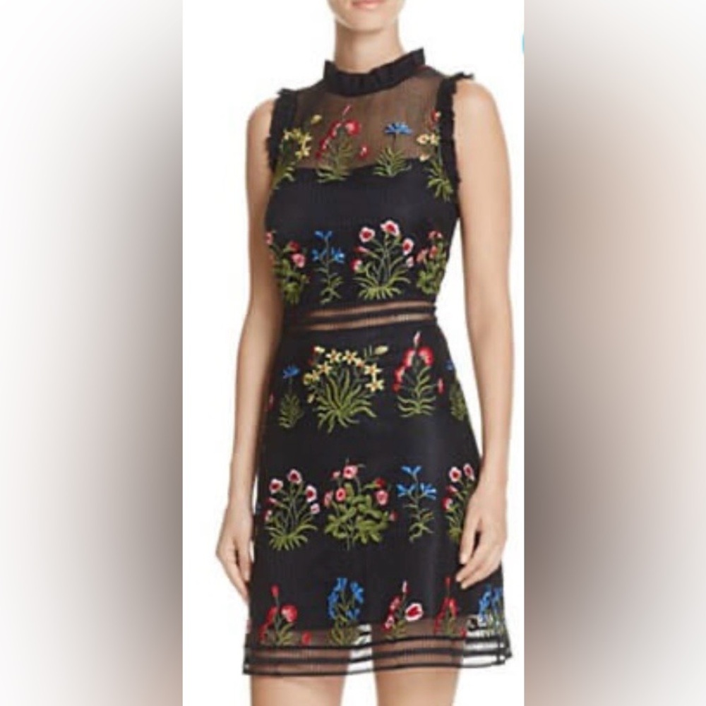 Lucy Paris Black Dress with Colorful Floral Embroidery